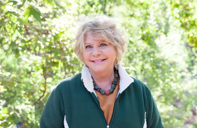 Anngwyn St. Just, Ph.D. je međunarodno priznata edukatorica o traumi, trenerica i autorica sa decenijama kliničkog i pedagoškog iskustva širom kultura i kontinenata. 